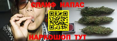 молекула духа Бузулук