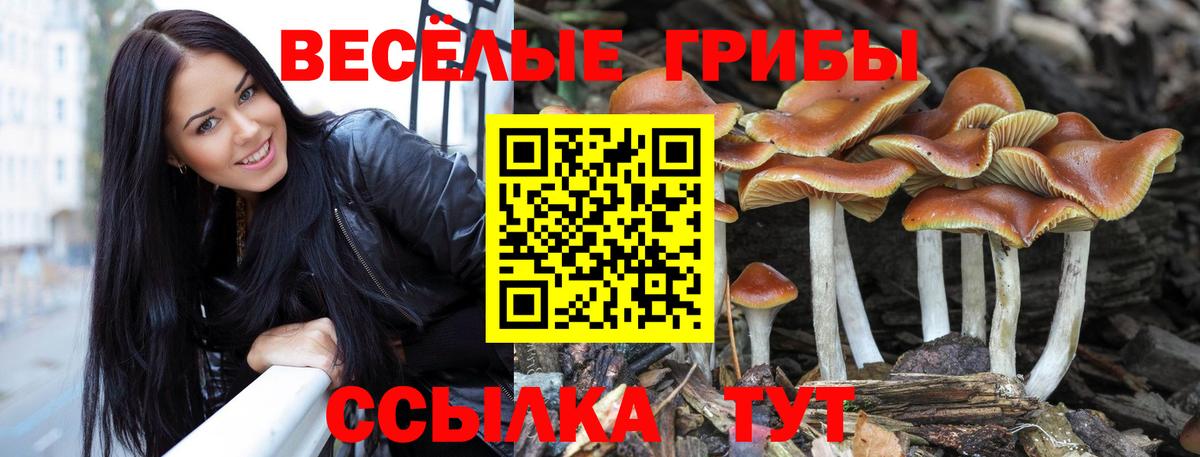 купить наркотик  Галлюциногенные грибы GOLDEN TEACHER  Вход с VPN  Красногорск  Псилоцибиновые грибы прущие грибы 